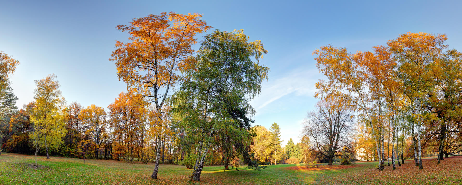 Herbst
